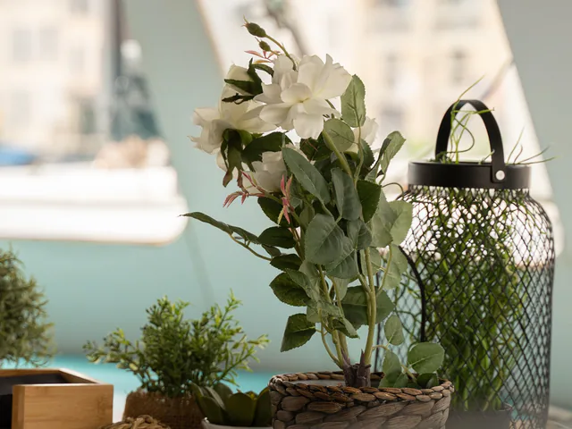 Table de réception dressée et décorée pour un dîner