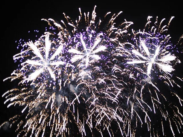 Feu d’artifice illuminant le ciel en soirée