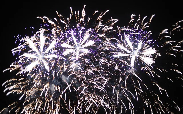 Feu d’artifice illuminant le ciel en soirée
